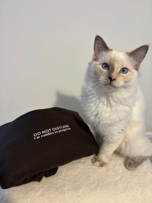 Do Not Disturb, Cat Cuddles In Progress Hoodie